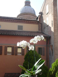 P1090494